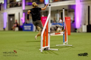 1T0A1088-2_DxO