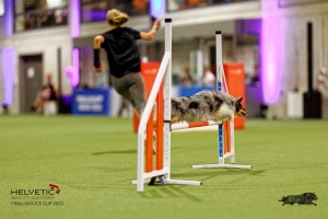 1T0A1089-2_DxO