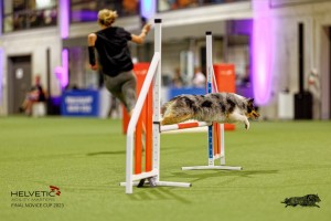 1T0A1090-2_DxO
