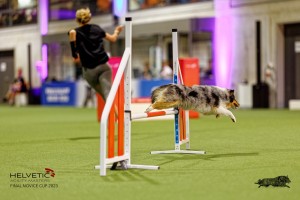 1T0A1091-2_DxO