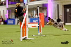 1T0A1094-2_DxO