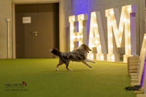 1T0A1164-2_DxO