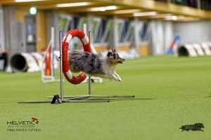 1T0A1188-2_DxO