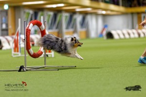 1T0A1189-2_DxO