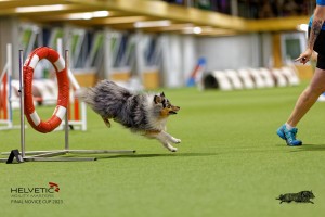 1T0A1190-2_DxO