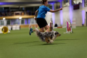 1T0A1206-2_DxO