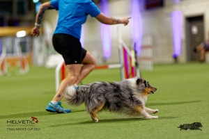 1T0A1208-2_DxO