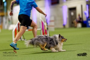 1T0A1209-2_DxO