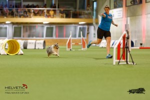 1T0A1231-2_DxO