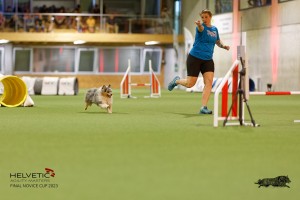 1T0A1232-2_DxO