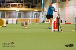 1T0A1233-2_DxO