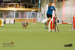 1T0A1235-2_DxO