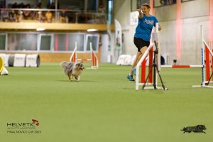 1T0A1236-2_DxO