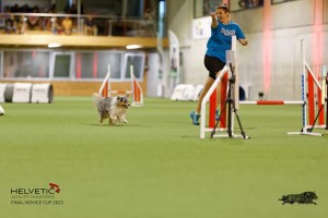 1T0A1237-2_DxO