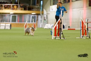 1T0A1238-2_DxO