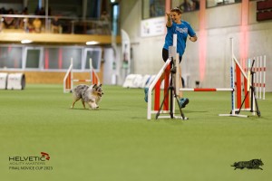 1T0A1239-2_DxO