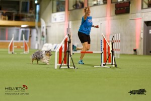 1T0A1244-2_DxO