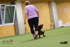 1T0A1293-2_DxO