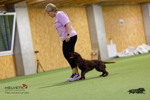 1T0A1297-2_DxO