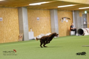 1T0A1312-2_DxO