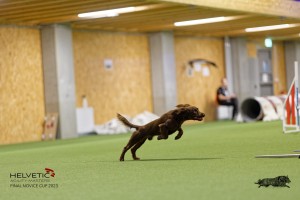 1T0A1313-2_DxO