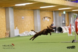 1T0A1314-2_DxO