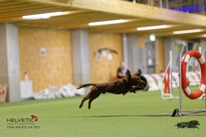 1T0A1315-2_DxO