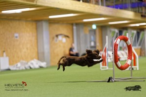 1T0A1316-2_DxO