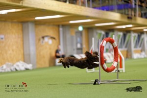 1T0A1317-2_DxO
