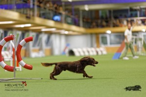 1T0A1324-2_DxO
