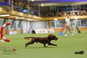 1T0A1325-2_DxO