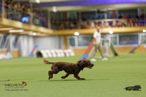 1T0A1326-2_DxO