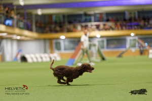 1T0A1327-2_DxO