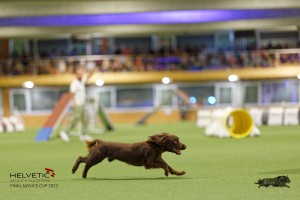1T0A1330_DxO