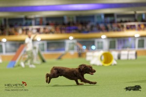 1T0A1331_DxO
