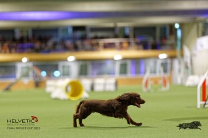1T0A1335_DxO