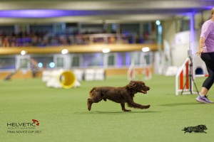 1T0A1336_DxO