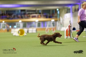 1T0A1337_DxO