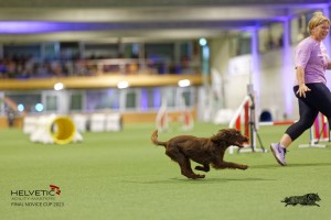 1T0A1338_DxO