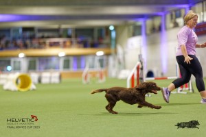 1T0A1339_DxO
