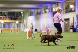 1T0A1342_DxO