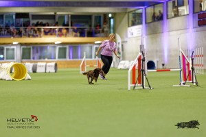 1T0A1374_DxO
