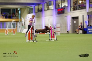 1T0A1387_DxO