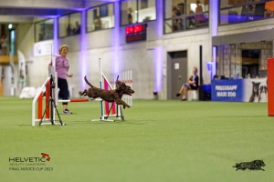 1T0A1390_DxO