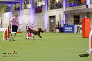1T0A1392_DxO