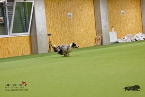 1T0A1434_DxO