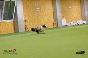 1T0A1435_DxO