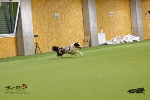 1T0A1436_DxO