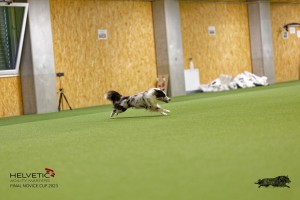 1T0A1437_DxO