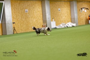 1T0A1438_DxO